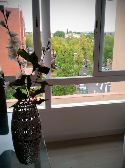 Apartamento Medina Cerca De La Ribera 코르도바 외부 사진